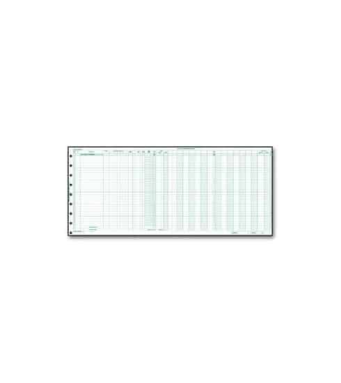 Payroll & Expense Record Journal